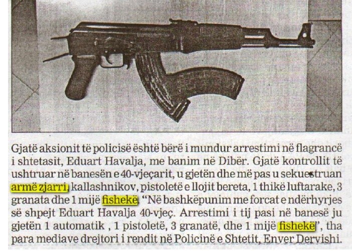 Albania-avmp/31_1