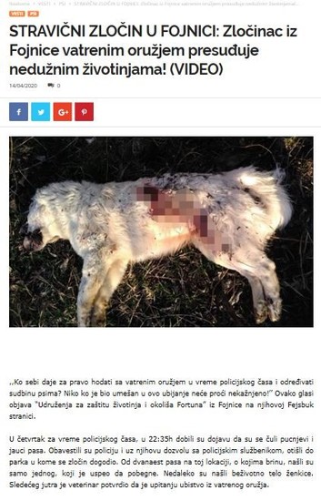 Bosnia-and-Herzegovina-avmp/Animal-shooting