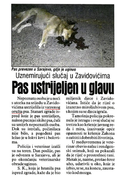 Bosnia-and-Herzegovina-avmp/August-2017_56