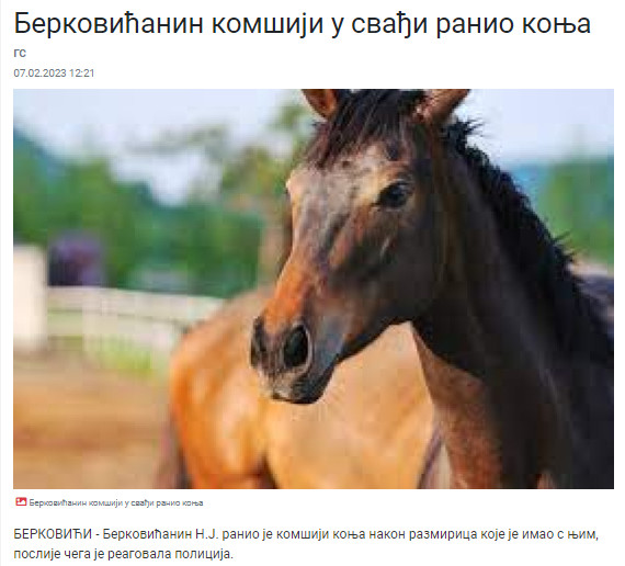 Bosnia-and-Herzegovina-avmp/Berkovicanin-komsiji-u-svadji-ranio-konja