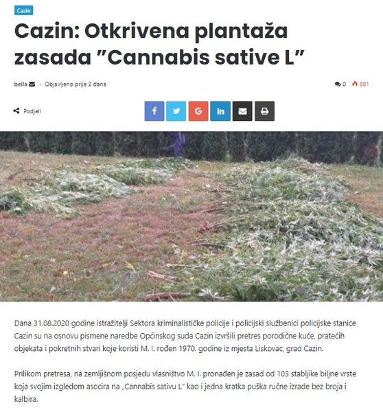 Bosnia-and-Herzegovina-avmp/Cazin_-Otkrivena-plantaza-zasada-Cannabis-sative-L