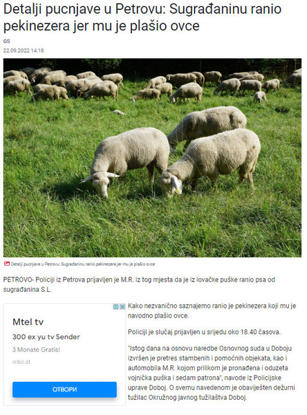Bosnia-and-Herzegovina-avmp/Detalji-pucnjave-u-Petrovu_-Sugradaninu-ranio-pekinezera-jer-m