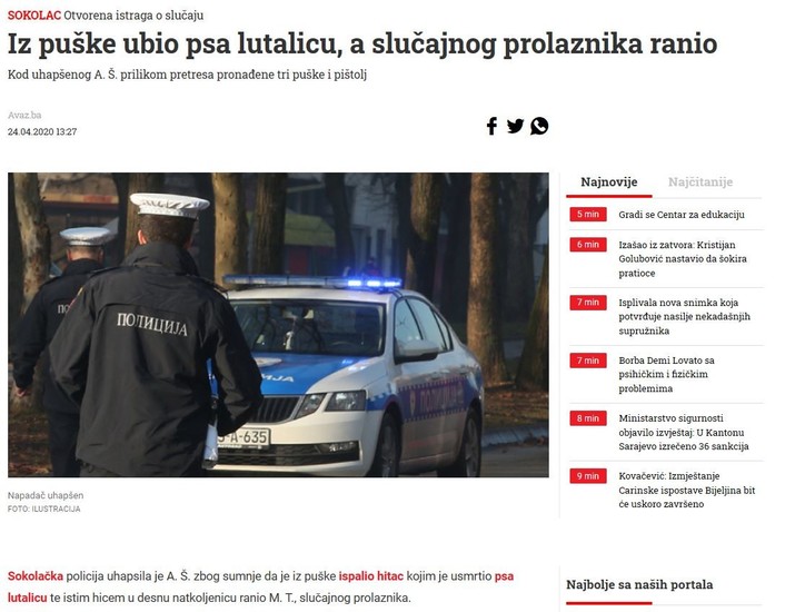 Bosnia-and-Herzegovina-avmp/Dog-murder-injury