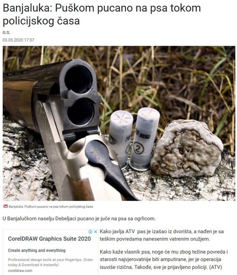 Bosnia-and-Herzegovina-avmp/Dog-shooting