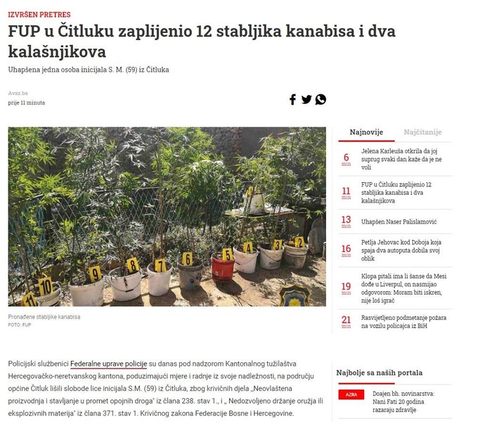 Bosnia-and-Herzegovina-avmp/FUP-u-Citluku-zaplijenio-12-stabljika-kanabisa-i-dva-kalasnjik_1