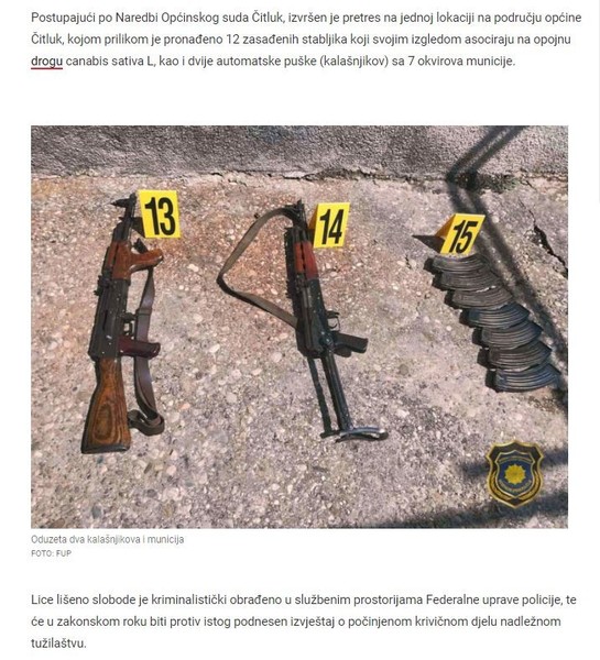 Bosnia-and-Herzegovina-avmp/FUP-u-Citluku-zaplijenio-12-stabljika-kanabisa-i-dva-kalasnjik