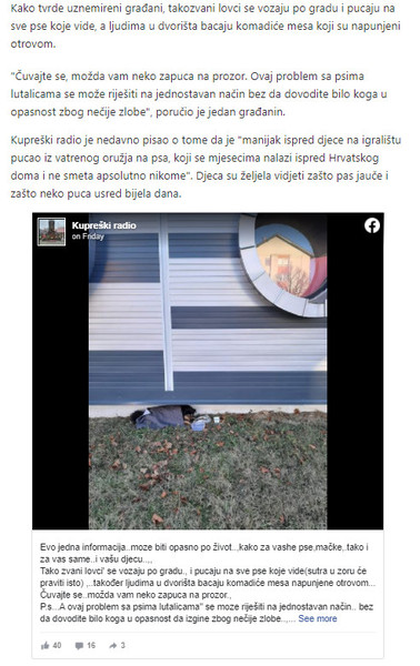 Bosnia-and-Herzegovina-avmp/Gradani-uznemireni_-Ko-vatrenim-oruzjem-ubija-pse-lutalice-na-