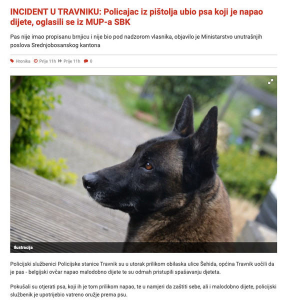 Bosnia-and-Herzegovina-avmp/INCIDENT-U-TRAVNIKU_-Policajac-iz-pistolja-ubio-psa-koji-je-na