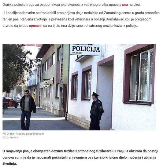 Bosnia-and-Herzegovina-avmp/Injuring-dog-2