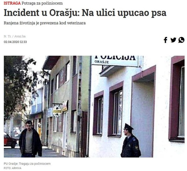 Bosnia-and-Herzegovina-avmp/Injuring-dog