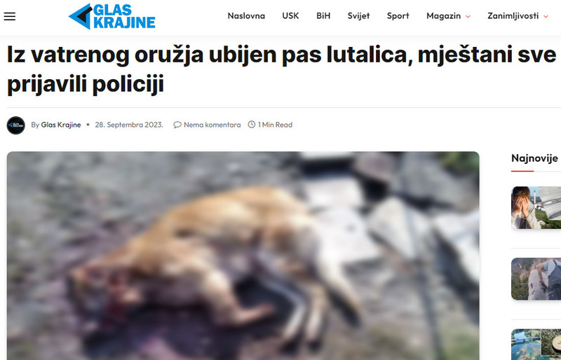 Bosnia-and-Herzegovina-avmp/Iz-vatrenog-oruzja-ubijen-pas-lutalica-mjestani-sve-prijavili