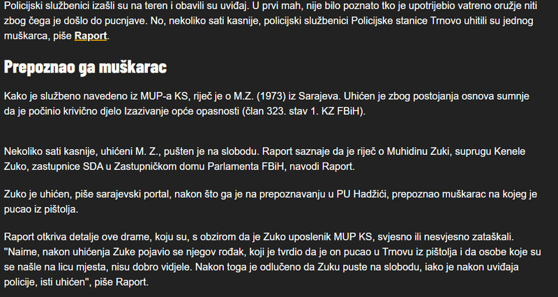 Bosnia-and-Herzegovina-avmp/Muz-federalne-zastupnice-pucao-iz-pistolja-pa-se-sve-zataskalo_1