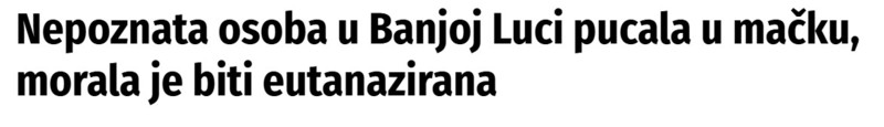 Bosnia-and-Herzegovina-avmp/Nepoznata-osoba-u-Banjoj-Luci-pucala-u-macku-morala-je-biti-eutanazirana