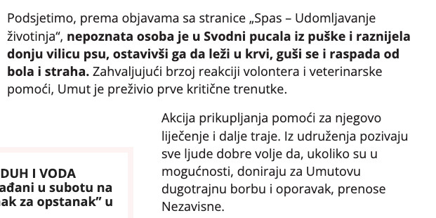Bosnia-and-Herzegovina-avmp/Pas-kojem-je-raznesena-vilica-danas-ide-na-operaciju1