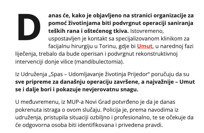 Bosnia-and-Herzegovina-avmp/Pas-kojem-je-raznesena-vilica-danas-ide-na-operaciju