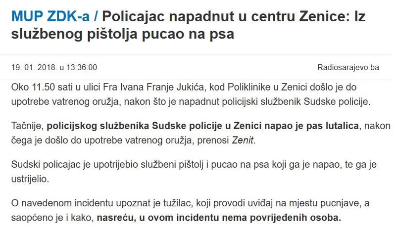 Bosnia-and-Herzegovina-avmp/Policajac-napadnut-u-centru-Zenice--Iz-sluzbenog-pistolja-puca
