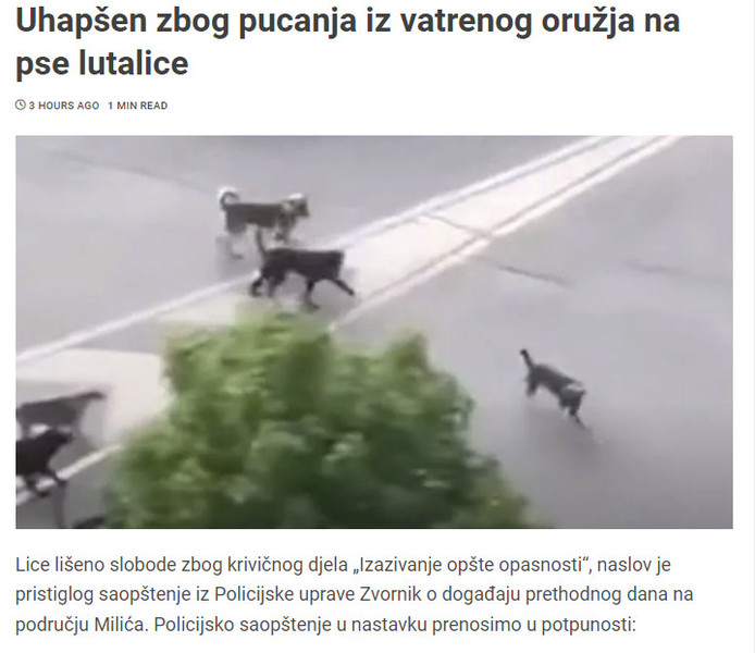 Bosnia-and-Herzegovina-avmp/Uhapsen-zbog-pucanja-iz-vatrenog-oruzja-na-pse-lutalice