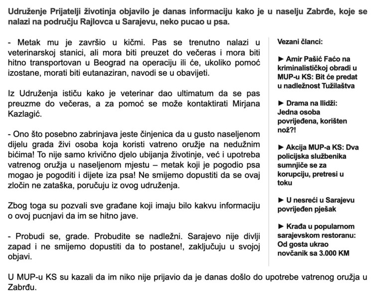 Bosnia-and-Herzegovina-avmp/source.ba-_-Horor-u-Sarajevu_-Nepoznati-pocinilac-pucao-u-psa-_1
