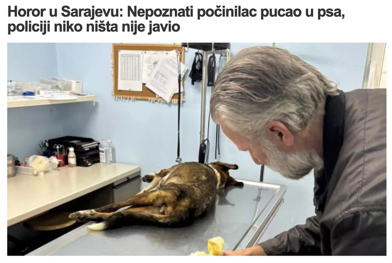 Bosnia-and-Herzegovina-avmp/source.ba-_-Horor-u-Sarajevu_-Nepoznati-pocinilac-pucao-u-psa-