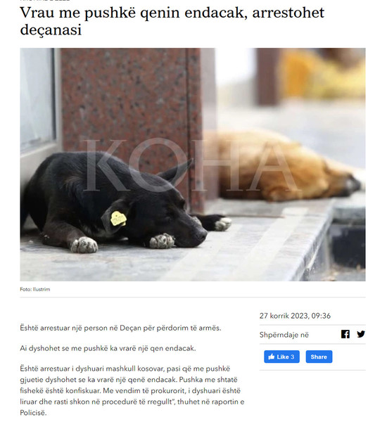Kosovo-avmp/02-koha_27