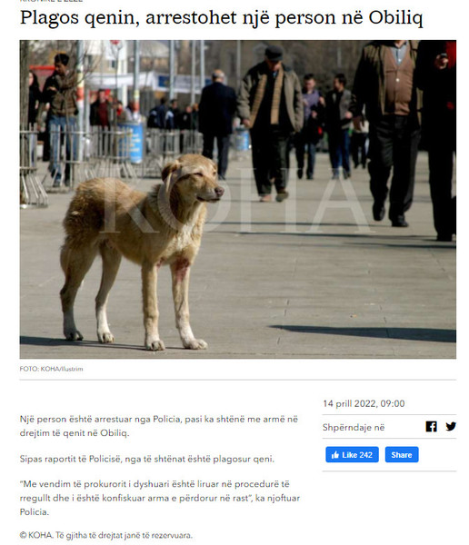 Kosovo-avmp/03-Koha