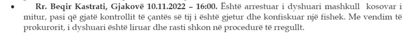 Kosovo-avmp/05-gjakove_4