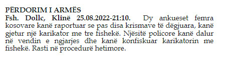 Kosovo-avmp/06-kline_3