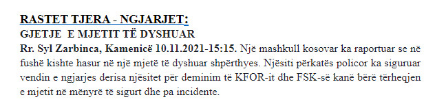 Kosovo-avmp/kamenica-10.11
