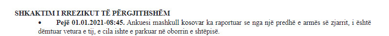 Kosovo-avmp/peje-01.01