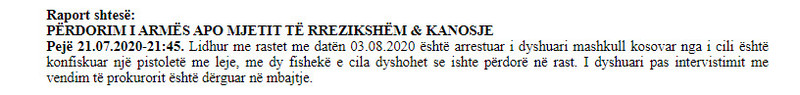 Kosovo-avmp/peje-raport-shtese