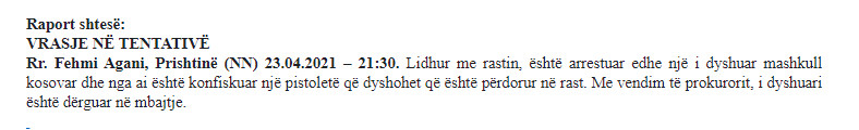 Kosovo-avmp/prishtine-raport-shtese