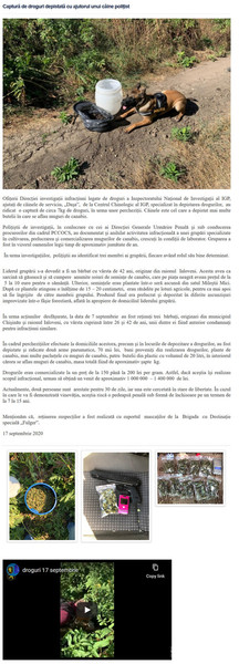 Moldova-avmp/Screenshot-09-18-Captur-de-droguri-depistat-cu-ajutorul-unui-cine-poliist