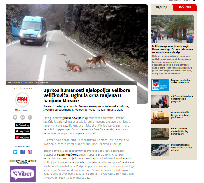 Montenegro-avmp/-------_------jpg