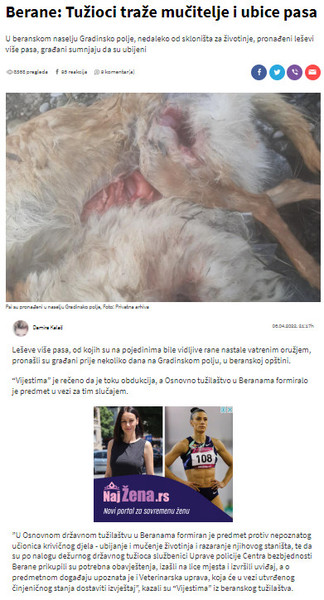 Montenegro-avmp/Berane_-Tuzioci-traze-mucitelje-i-ubice-pasa