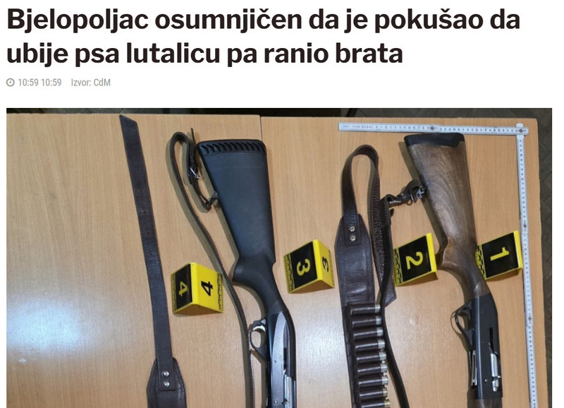 Montenegro-avmp/Bjelopoljac-osumnjicen-da-je-pokusao-da-ubije-psa-lutalicu-pa-ranio-brata_1