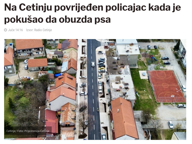 Montenegro-avmp/Na-Cetinju-povrijeden-policajac-kada-je-pokusao-da-obuzda-psa---CdM1
