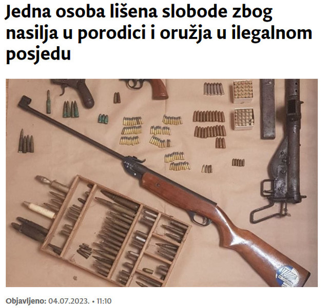 Montenegro-avmp/Nasilje-u-porodici