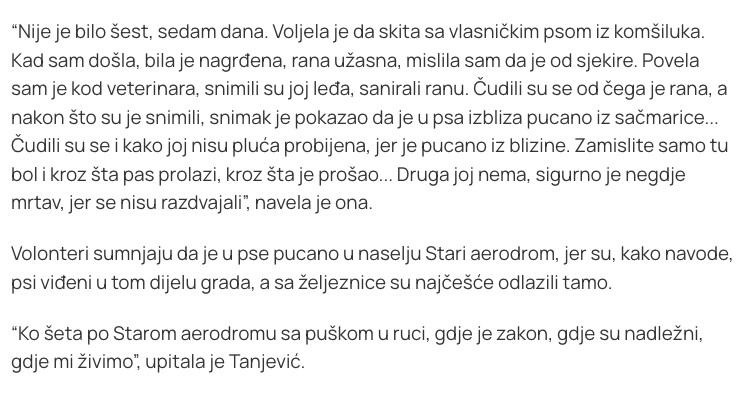 Montenegro-avmp/Podgorica_-Jedan-pas-ranjen-vatrenim-oruzjem-za-drugog-vjeruju-da-nije-ziv_4