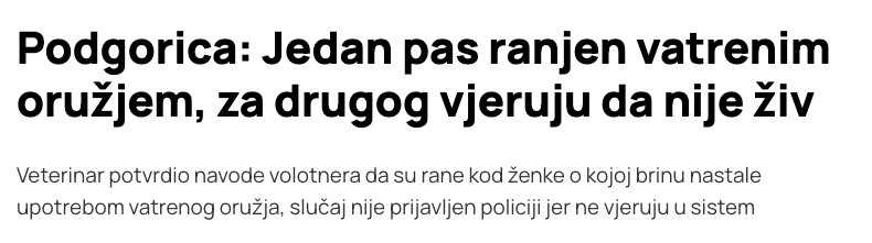 Montenegro-avmp/Podgorica_-Jedan-pas-ranjen-vatrenim-oruzjem-za-drugog-vjeruju-da-nije-ziv