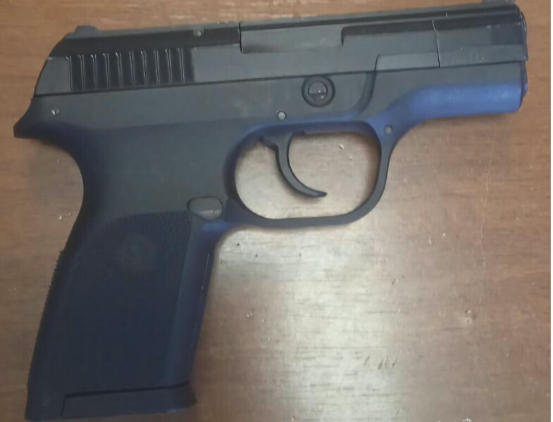 Montenegro-avmp/Pretresi-na-sjeveru-Oduzeti-pistolji-lovacka-puska-municija-i-marihuana_1