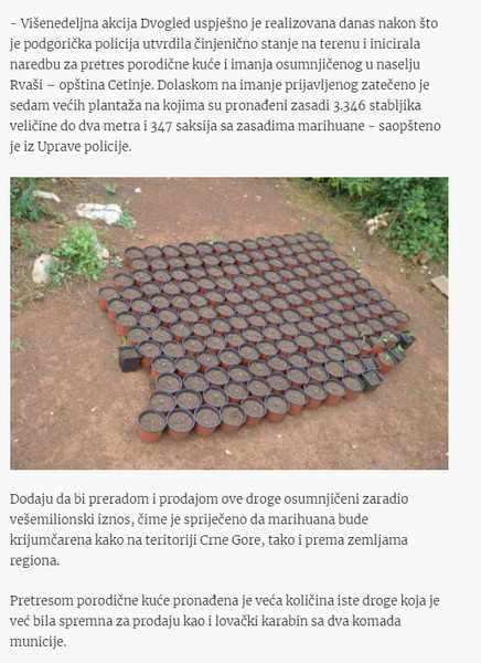 Montenegro-avmp/U-Rvasima-otkrivene-plantaze-sa-3.700-stabljika-marihuane_2