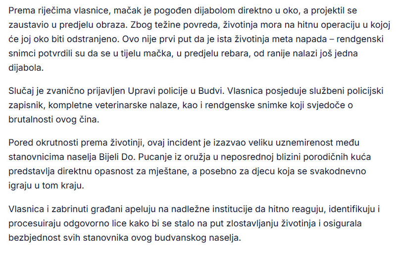 Montenegro-avmp/UZAS-U-BUDVI-Macak-tesko-povrijeden-iz-vazdusnog-oruzja_1