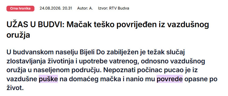 Montenegro-avmp/UZAS-U-BUDVI-Macak-tesko-povrijeden-iz-vazdusnog-oruzja