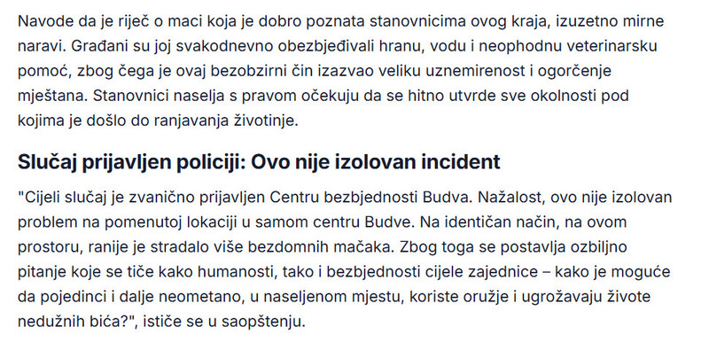 Montenegro-avmp/Ujedinjene-sapice-Budve-Ulicna-macka-pogodena-iz-vazdusnog-oruzja-gradani-traze-hitnu-reakciju-policije_1