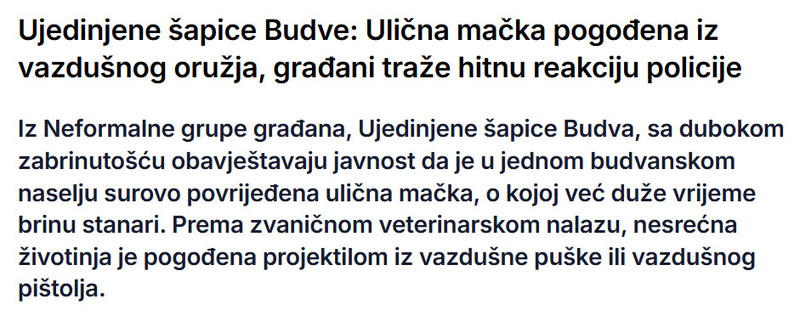 Montenegro-avmp/Ujedinjene-sapice-Budve-Ulicna-macka-pogodena-iz-vazdusnog-oruzja-gradani-traze-hitnu-reakciju-policije