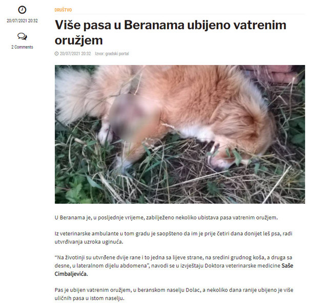 Montenegro-avmp/Vise-pasa-u-Beranama-ubijeno-vatrenim-oruzjem