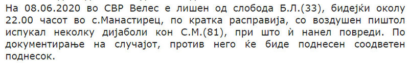 North-Macedonia/After-having-an-argument-a-33-year-old-man-shot-a-81-year-old-woman-with-a