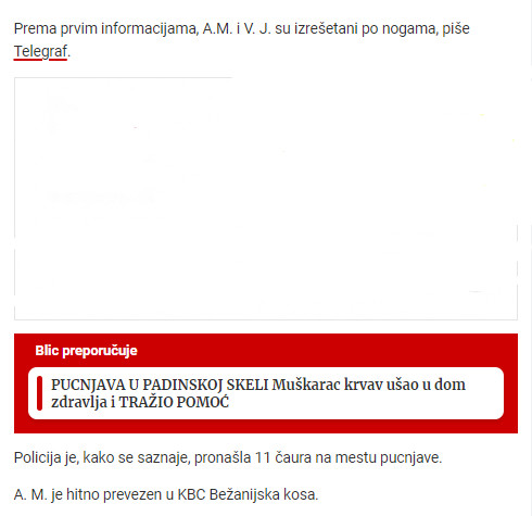 Serbia-avmp/Detalji-pucnjave-u-Padinskoj-Skeli2