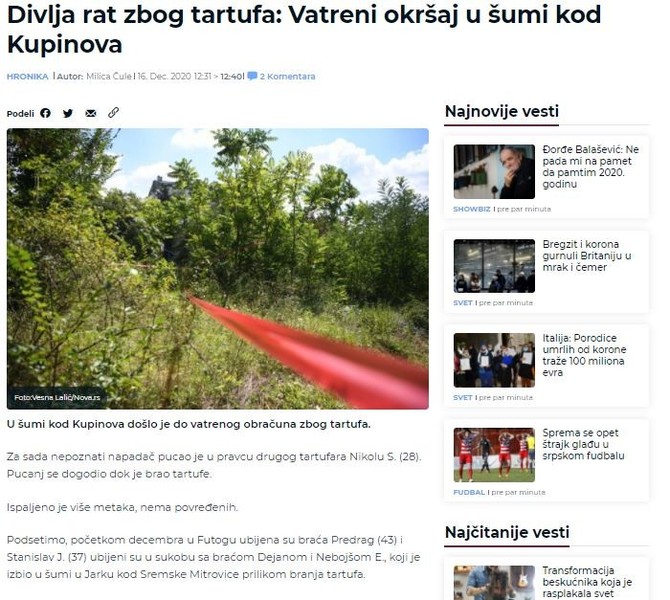 Serbia-avmp/Divlja-rat-zbog-tartufa_-Vatreni-okrsaj-u-sumi-kod-Kupinova