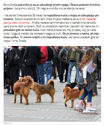 Serbia-avmp/Kuji-dok-je-dojila-stence-pucano-u-glavi1